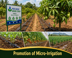 Promotion of Micro-Irrigation